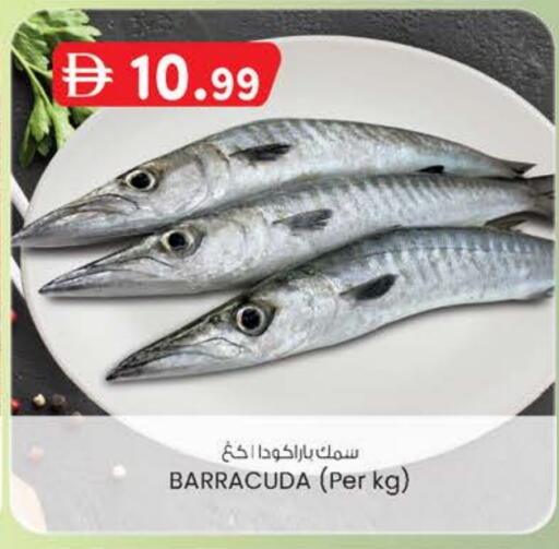 available at ك. الم. للتجارة in الإمارات العربية المتحدة , الامارات - الشارقة / عجمان