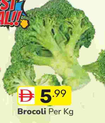 available at دريم نايت هايبرماركت in الإمارات العربية المتحدة , الامارات - دبي