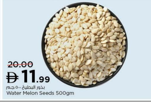 Melon available at نستو هايبرماركت in الإمارات العربية المتحدة , الامارات - ٱلْعَيْن‎