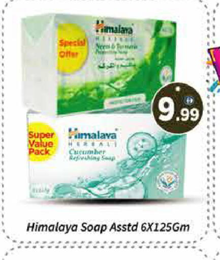 Cucumber available at AIKO Mall and AIKO Hypermarket in UAE - Dubai