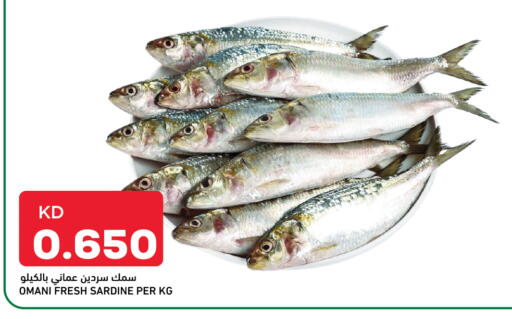 available at غلف مارت in الكويت - محافظة الأحمدي