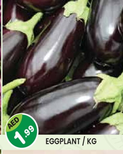 Eggplant available at Baniyas Spike  in UAE - Umm al Quwain
