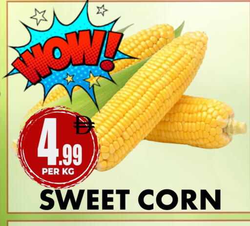 available at Centro Discount Center in UAE - Dubai