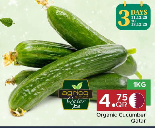 Cucumber from Qatar available at مركز التموين العائلي in قطر - الضعاين