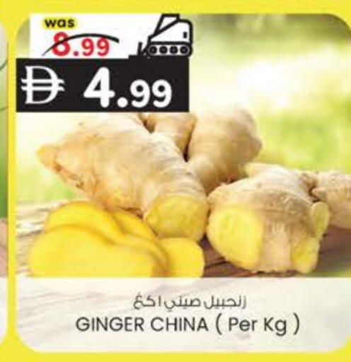 Ginger from China available at ك. الم. للتجارة in الإمارات العربية المتحدة , الامارات - الشارقة / عجمان