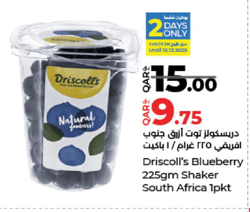 Blueberry BlueBerry from South Africa available at LuLu Hypermarket in Qatar - Al Wakra