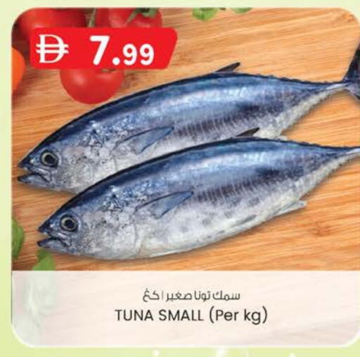 available at ك. الم. للتجارة in الإمارات العربية المتحدة , الامارات - الشارقة / عجمان