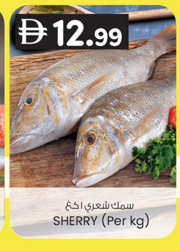 available at K.M Hypermarket in UAE - Abu Dhabi
