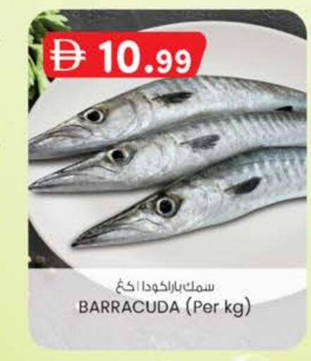 available at K M Trading  in UAE - Abu Dhabi