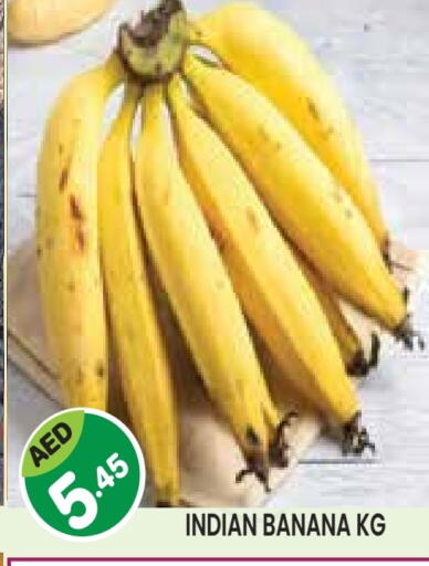Banana from India available at سنابل بني ياس in الإمارات العربية المتحدة , الامارات - أبو ظبي