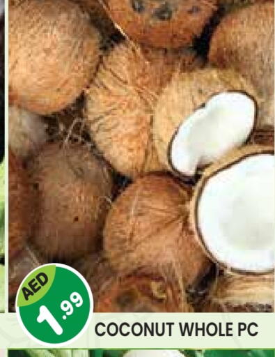 Coconut available at Baniyas Spike  in UAE - Umm al Quwain