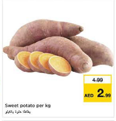 Sweet Potato available at لاست تشانس in الإمارات العربية المتحدة , الامارات - ٱلْفُجَيْرَة‎
