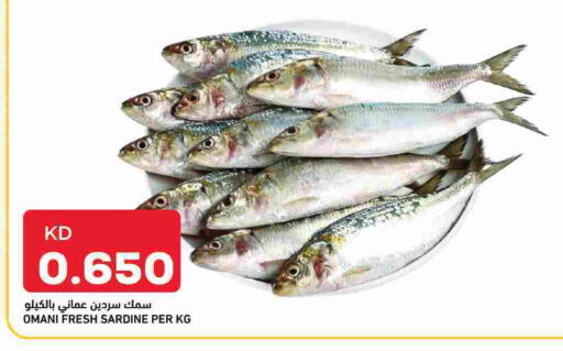 available at أونكوست in الكويت - محافظة الجهراء