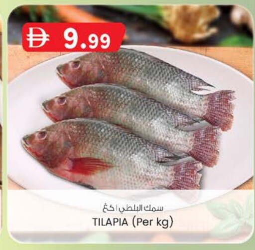 available at ك. الم. للتجارة in الإمارات العربية المتحدة , الامارات - الشارقة / عجمان