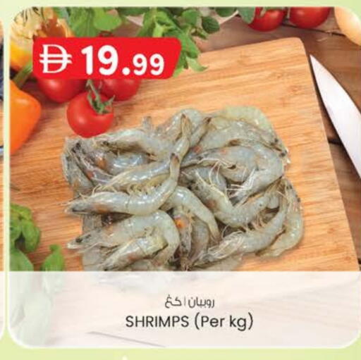 available at ك. الم. للتجارة in الإمارات العربية المتحدة , الامارات - الشارقة / عجمان