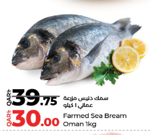 available at LuLu Hypermarket in Qatar - Al Daayen