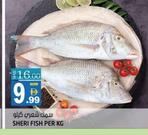 available at هاشم هايبرماركت in الإمارات العربية المتحدة , الامارات - الشارقة / عجمان