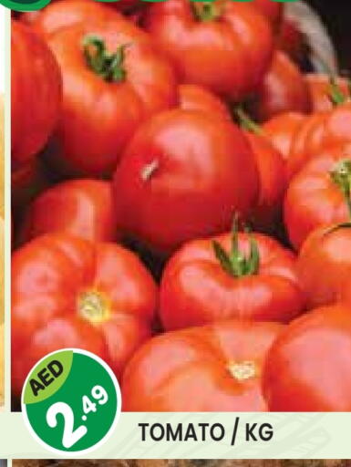 Tomato available at Baniyas Spike  in UAE - Umm al Quwain