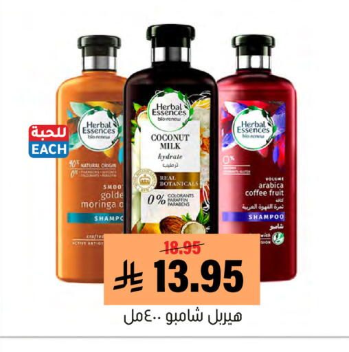 Coconut available at Al Amer Market in KSA, Saudi Arabia, Saudi - Al Hasa