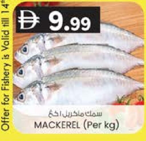 available at صفا هايبر in الإمارات العربية المتحدة , الامارات - ٱلْعَيْن‎