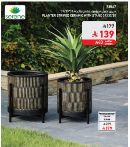 available at SACO in KSA, Saudi Arabia, Saudi - Abha