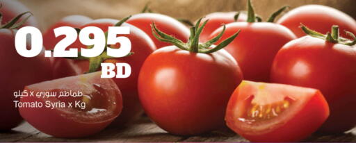 Tomato from Syria available at مركز سلطان in البحرين
