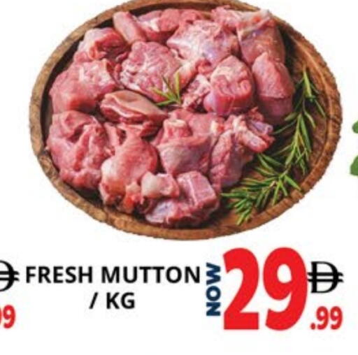 available at EXPRESS AL MADEENA HYPERMARKET LLC in UAE - Abu Dhabi