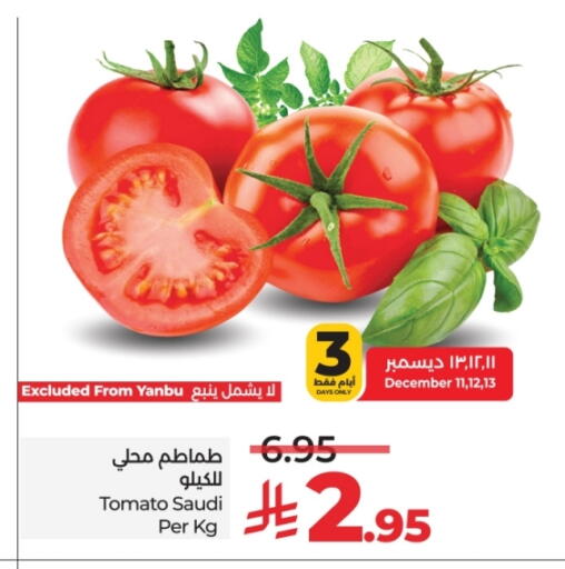 Tomato from Saudi Arabia available at LULU Hypermarket in KSA, Saudi Arabia, Saudi - Yanbu