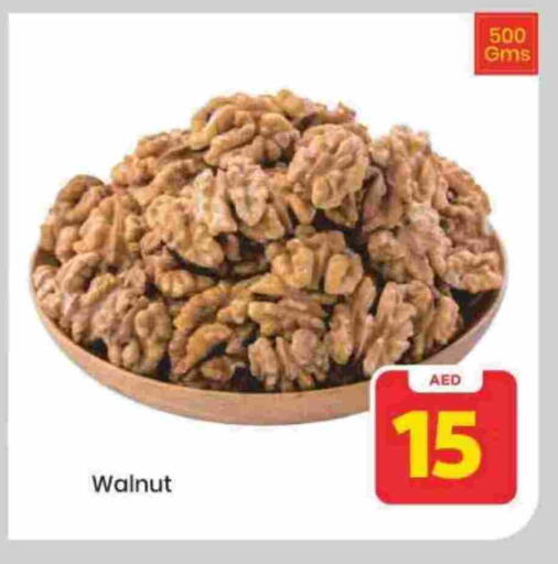 available at مارك & سيف in الإمارات العربية المتحدة , الامارات - الشارقة / عجمان