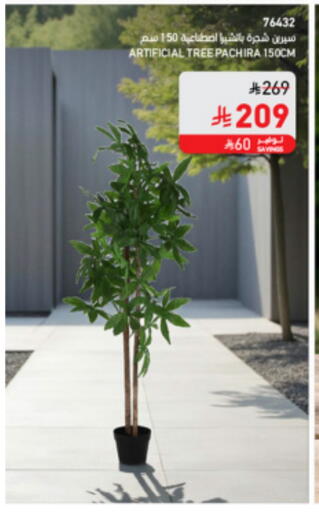 available at SACO in KSA, Saudi Arabia, Saudi - Abha