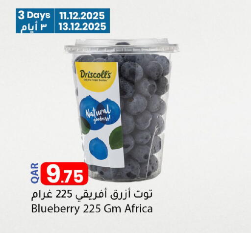 Blueberry BlueBerry available at دانا ماركت in قطر - الريان