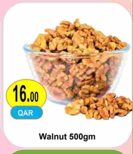 available at مجموعة ريجنسي in قطر - الريان