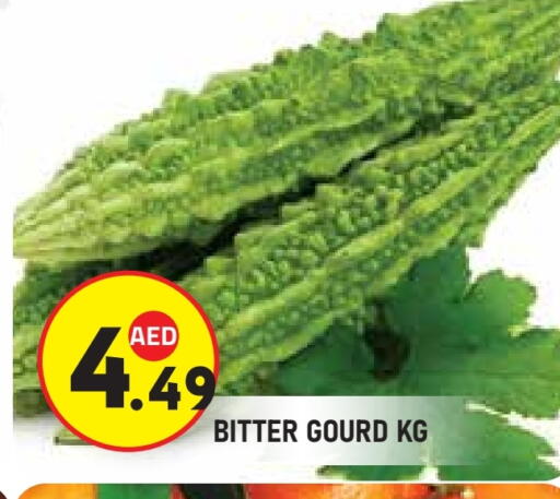 available at سنابل بني ياس in الإمارات العربية المتحدة , الامارات - ٱلْعَيْن‎