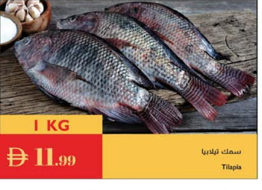 available at Istanbul Supermarket in UAE - Abu Dhabi