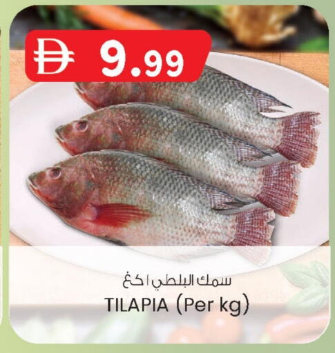 available at الصفا in الإمارات العربية المتحدة , الامارات - ٱلْعَيْن‎