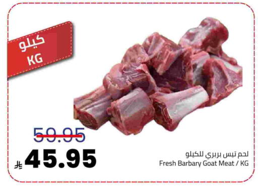 available at أسواق أسترا in مملكة العربية السعودية, السعودية, سعودية - تبوك