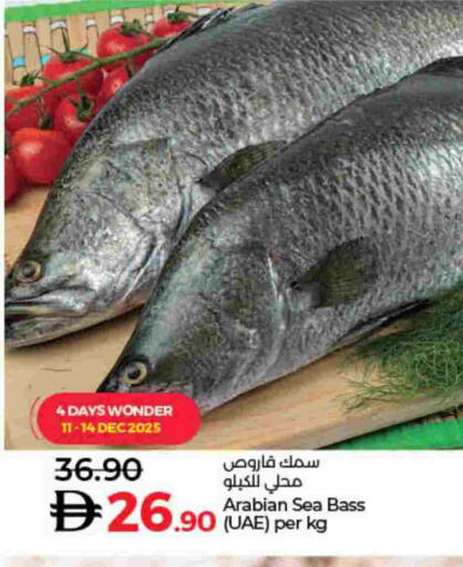 available at Lulu Hypermarket in UAE - Dubai