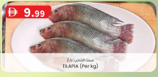 available at Safa Express Supermarket in UAE - Abu Dhabi