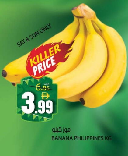 Banana from Philippines available at هاشم هايبرماركت in الإمارات العربية المتحدة , الامارات - الشارقة / عجمان