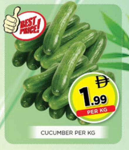 Cucumber available at Ainas Al madina hypermarket in UAE - Sharjah / Ajman