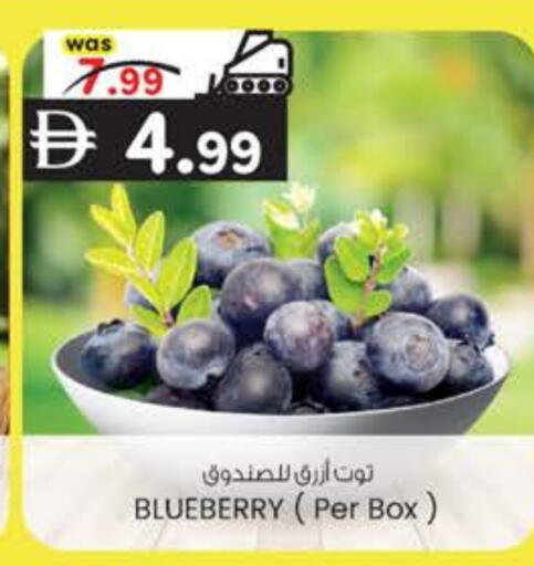 Blueberry BlueBerry available at ك. الم. للتجارة in الإمارات العربية المتحدة , الامارات - دبي