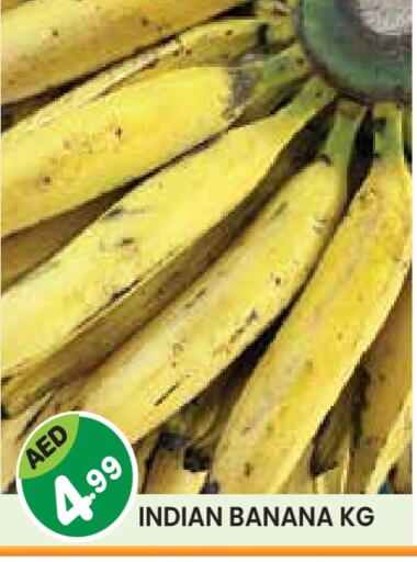 Banana from India available at سنابل بني ياس in الإمارات العربية المتحدة , الامارات - أم القيوين‎