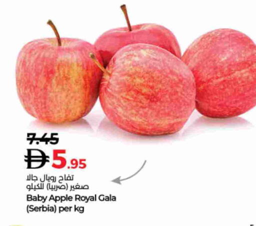 Apple from Serbia available at Lulu Hypermarket in UAE - Dubai