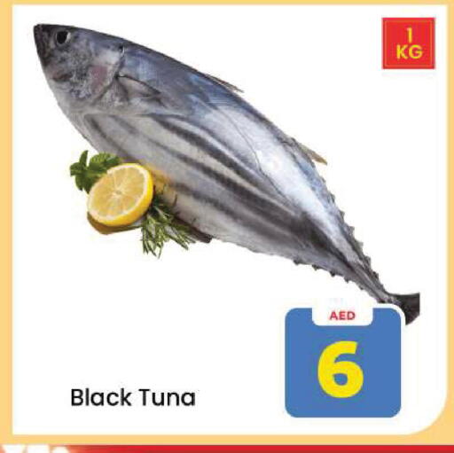 available at Mark & Save in UAE - Dubai