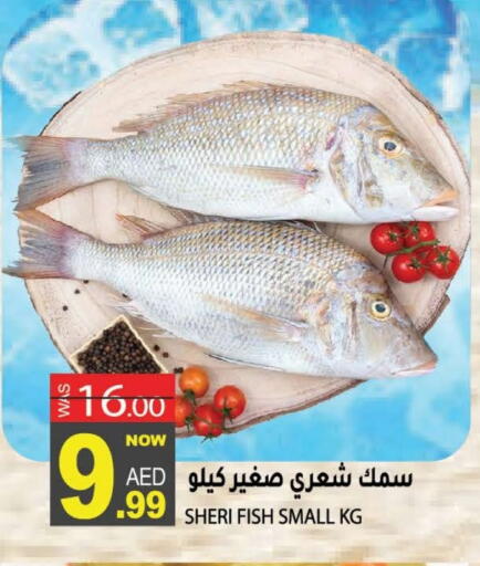 available at هاشم هايبرماركت in الإمارات العربية المتحدة , الامارات - الشارقة / عجمان