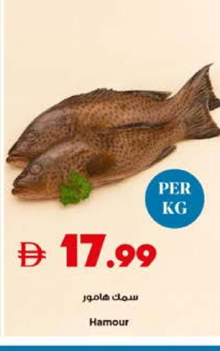 available at تروليز سوبرماركت in الإمارات العربية المتحدة , الامارات - الشارقة / عجمان