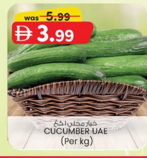 Cucumber available at صفا اكسبريس سوبرماركت in الإمارات العربية المتحدة , الامارات - أبو ظبي