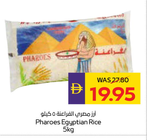 available at أدكووب in الإمارات العربية المتحدة , الامارات - ٱلْعَيْن‎