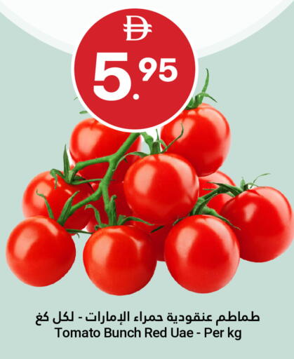 Tomato available at Grand Emirates Market in UAE - Abu Dhabi
