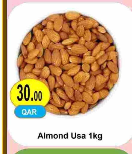 available at مجموعة ريجنسي in قطر - الريان